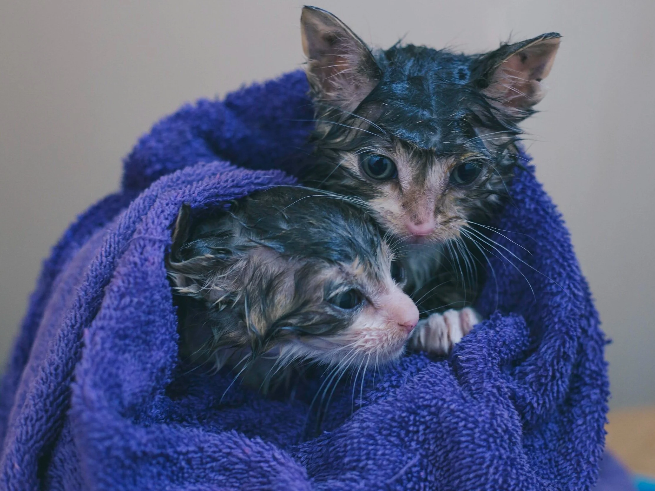 Bath Time