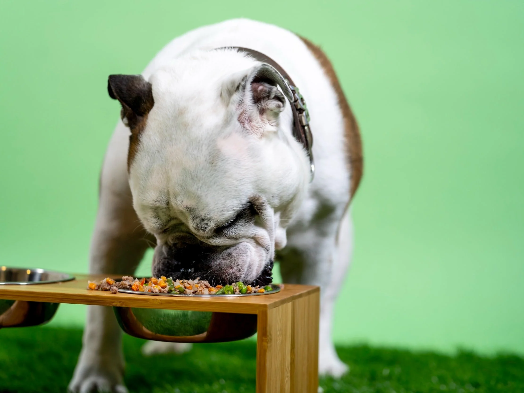 Wolfing Down Food